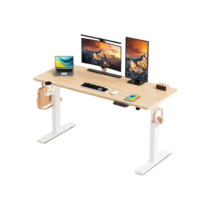 Mesa de escritorio regulable - HOMAVO K2301, 60 cm x 120 cm